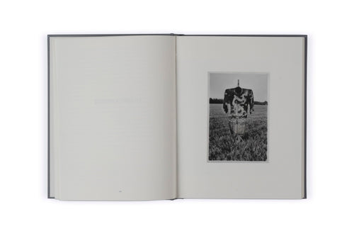 A Game of Photos