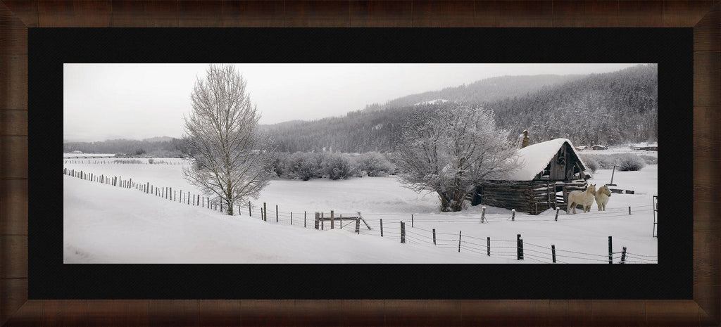Winter Calm
