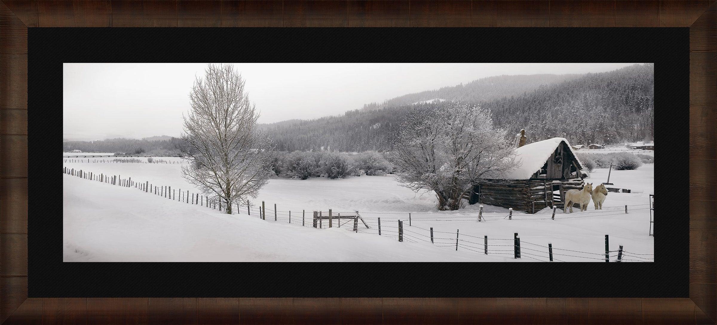 Winter Calm