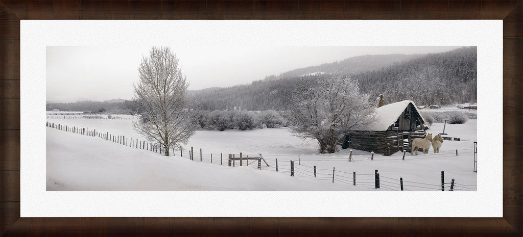 Winter Calm