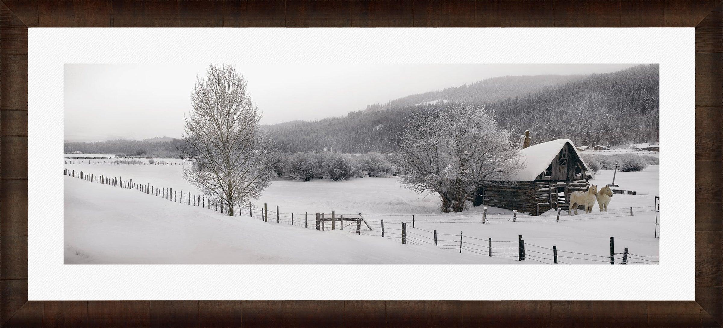 Winter Calm