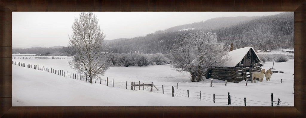 Winter Calm