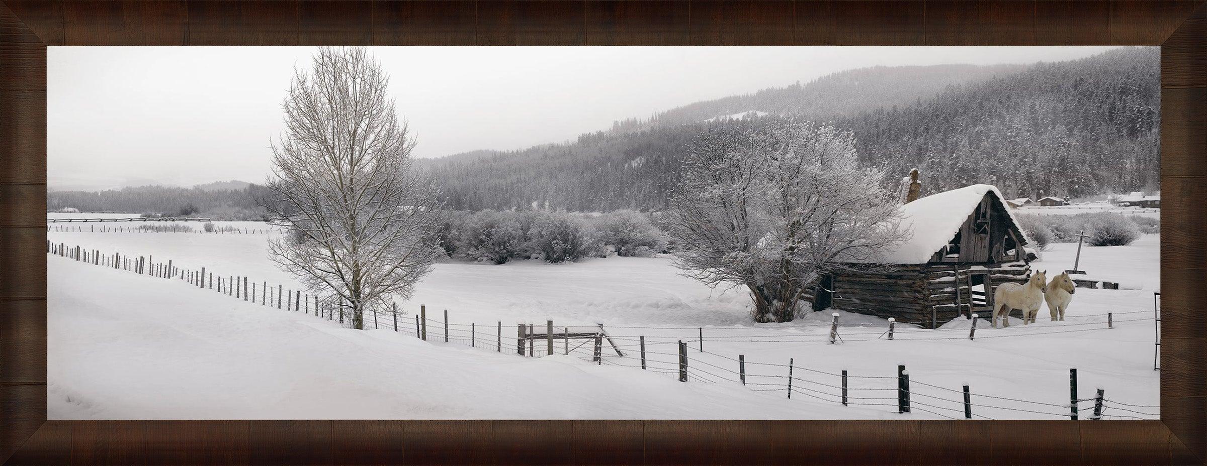 Winter Calm