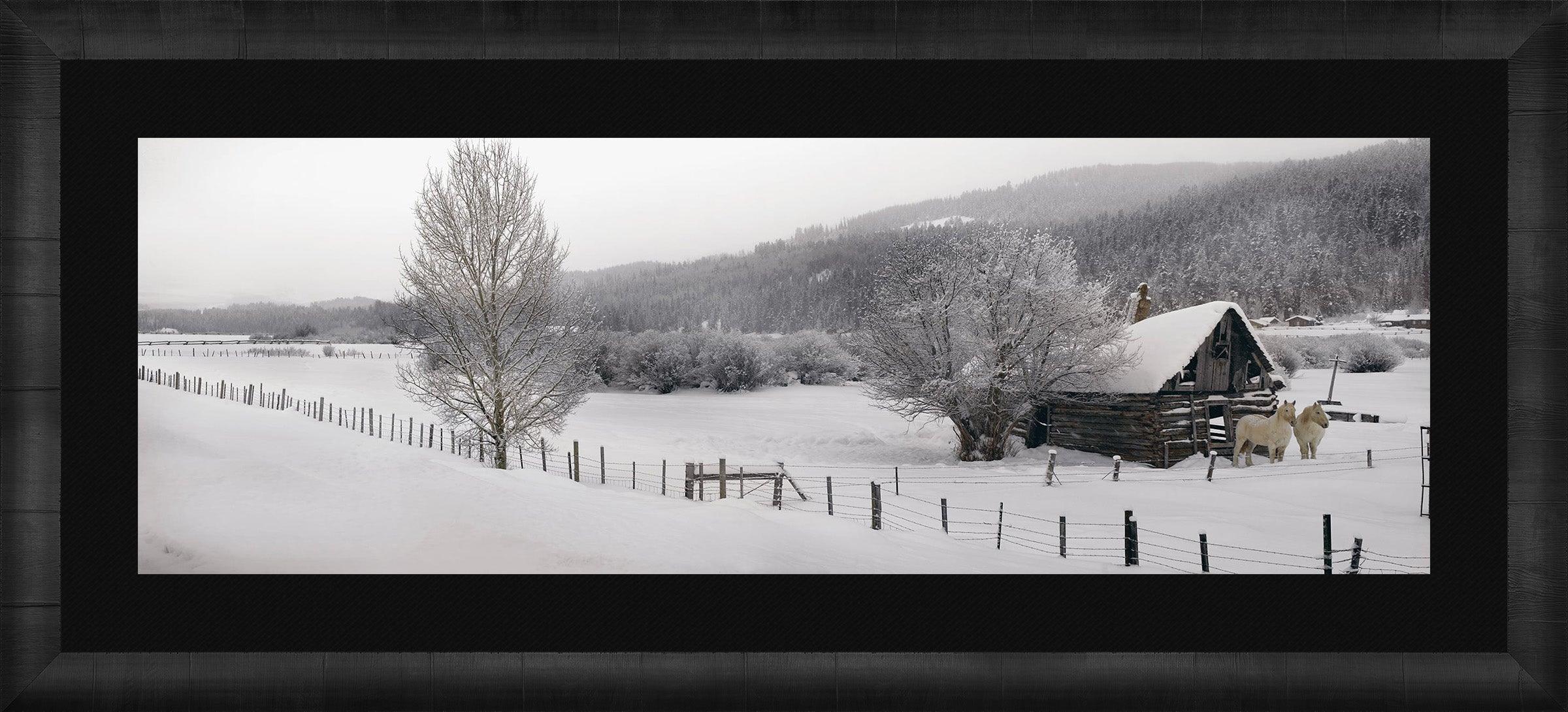 Winter Calm