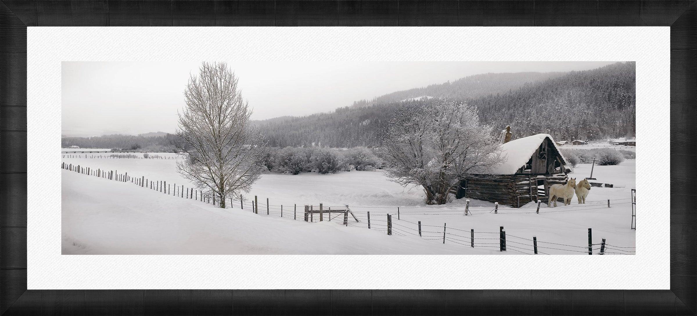 Winter Calm