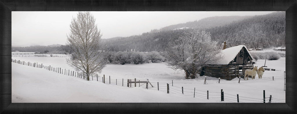 Winter Calm