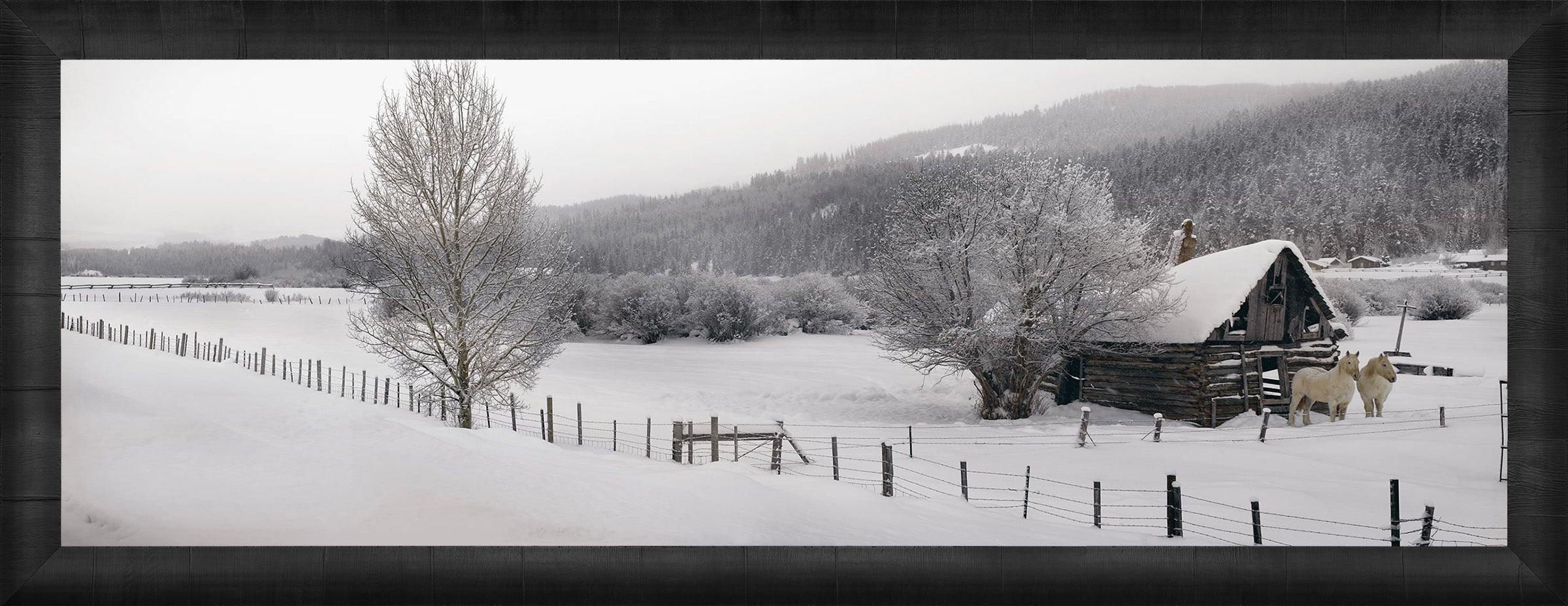 Winter Calm