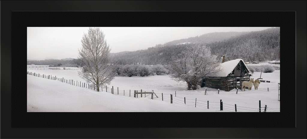 Winter Calm
