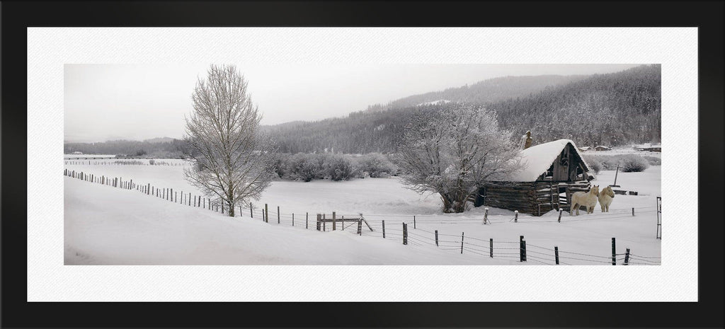 Winter Calm