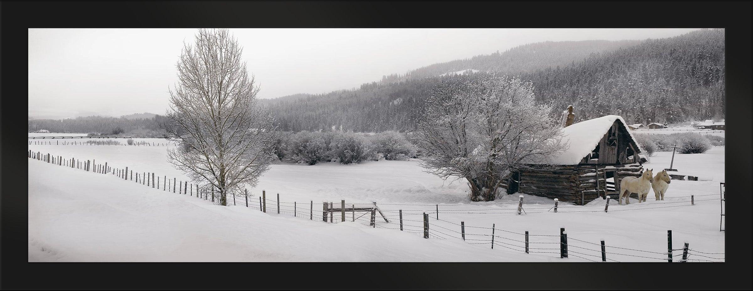 Winter Calm
