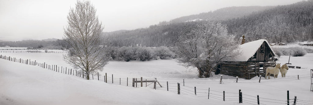 Winter Calm