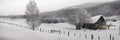Winter Calm