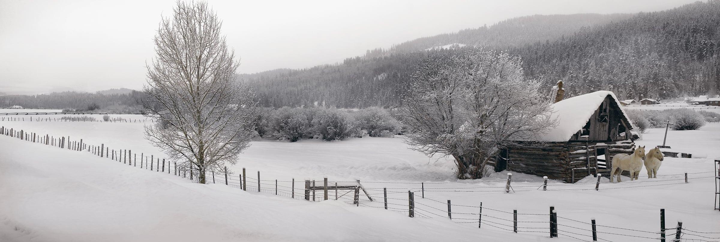 Winter Calm