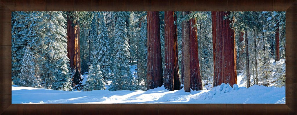 Winter Giants