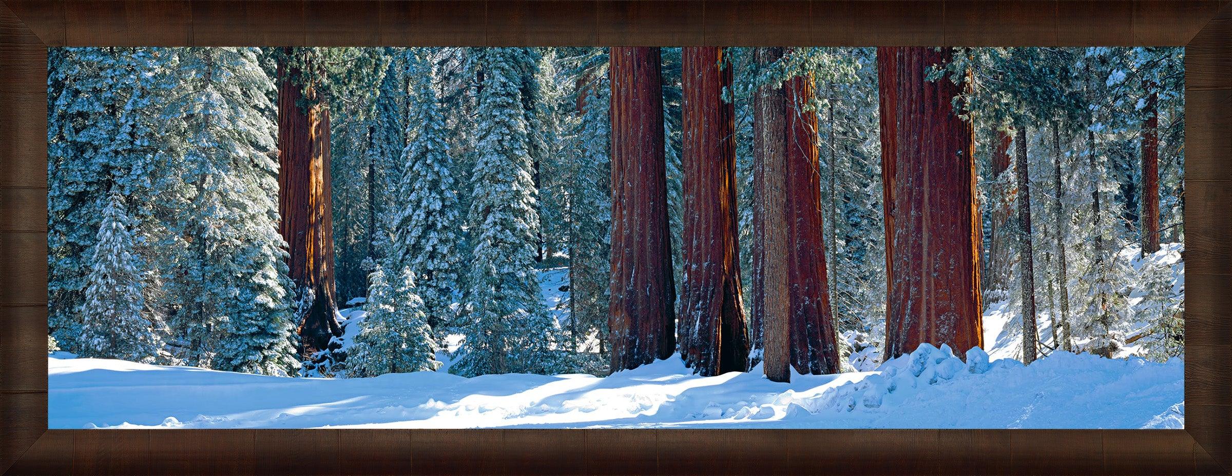 Winter Giants
