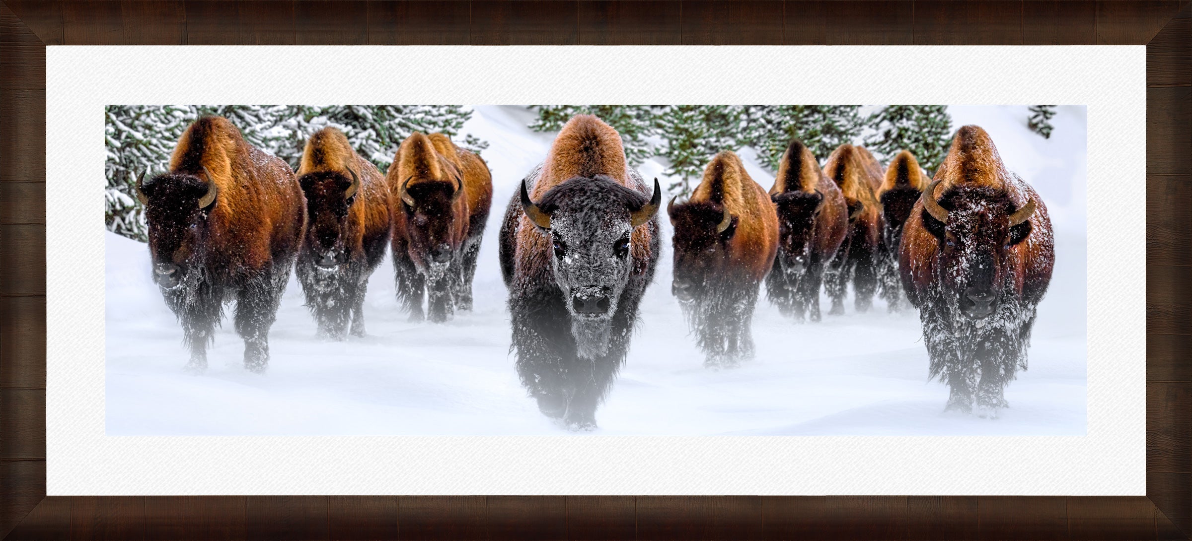 Winter Reign