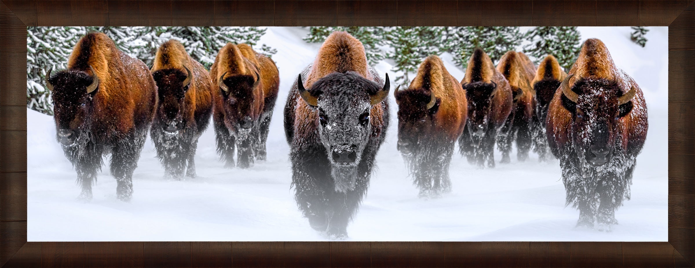 Winter Reign