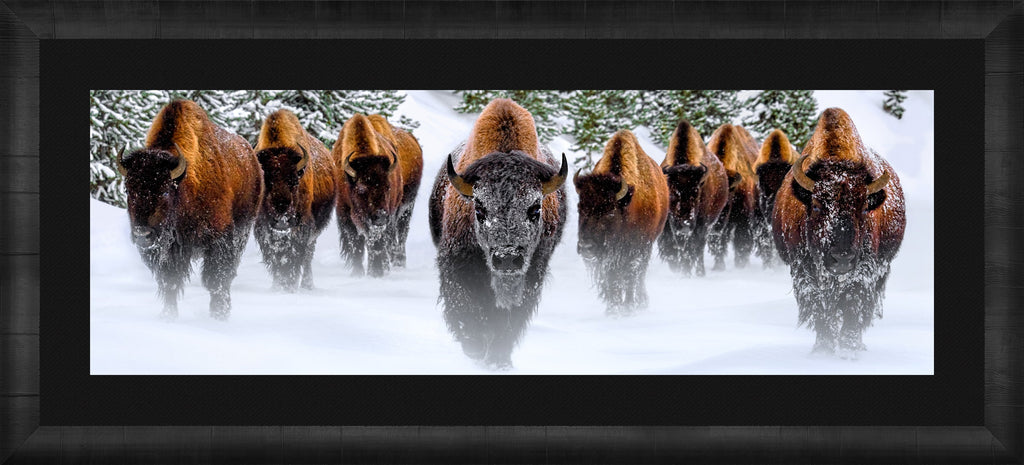 Winter Reign