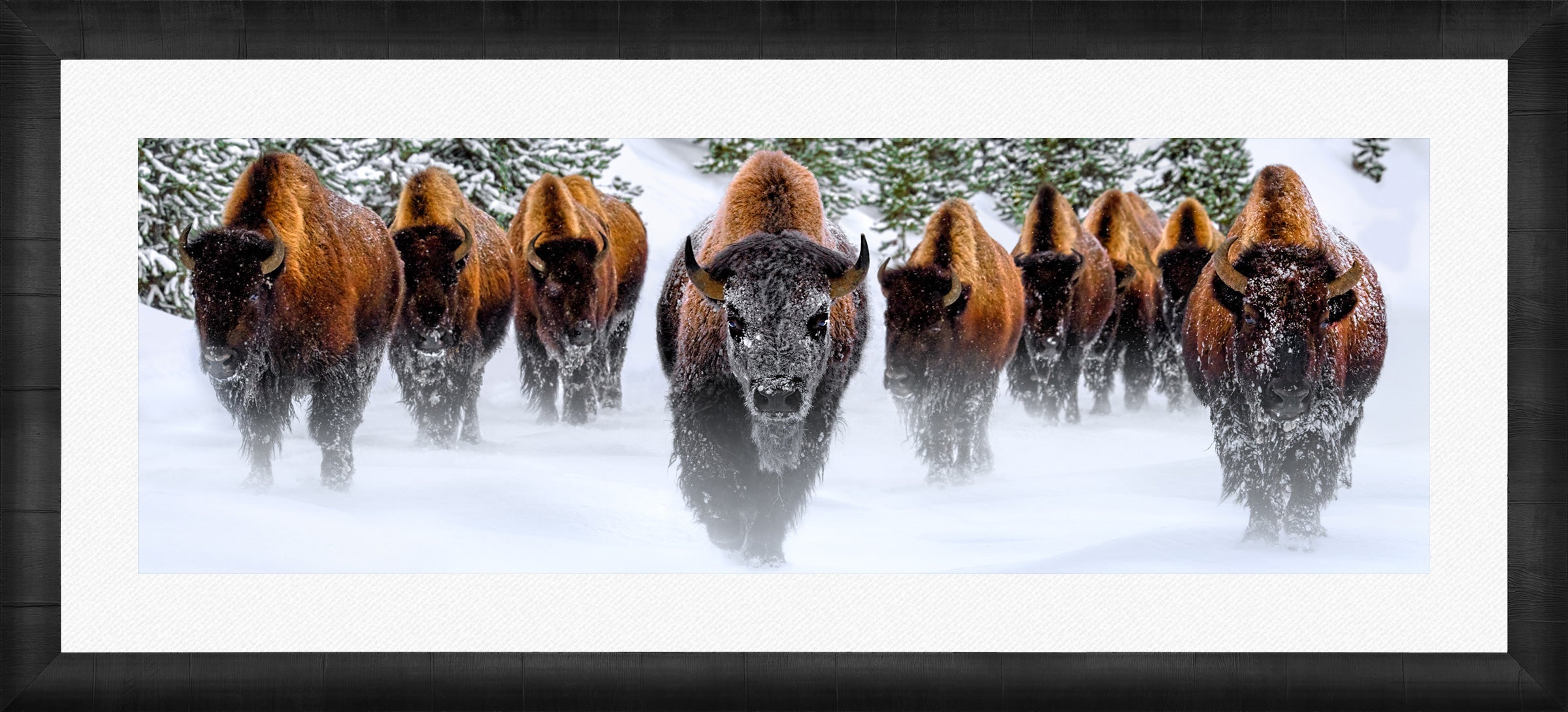 Winter Reign