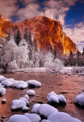 Winter Tower