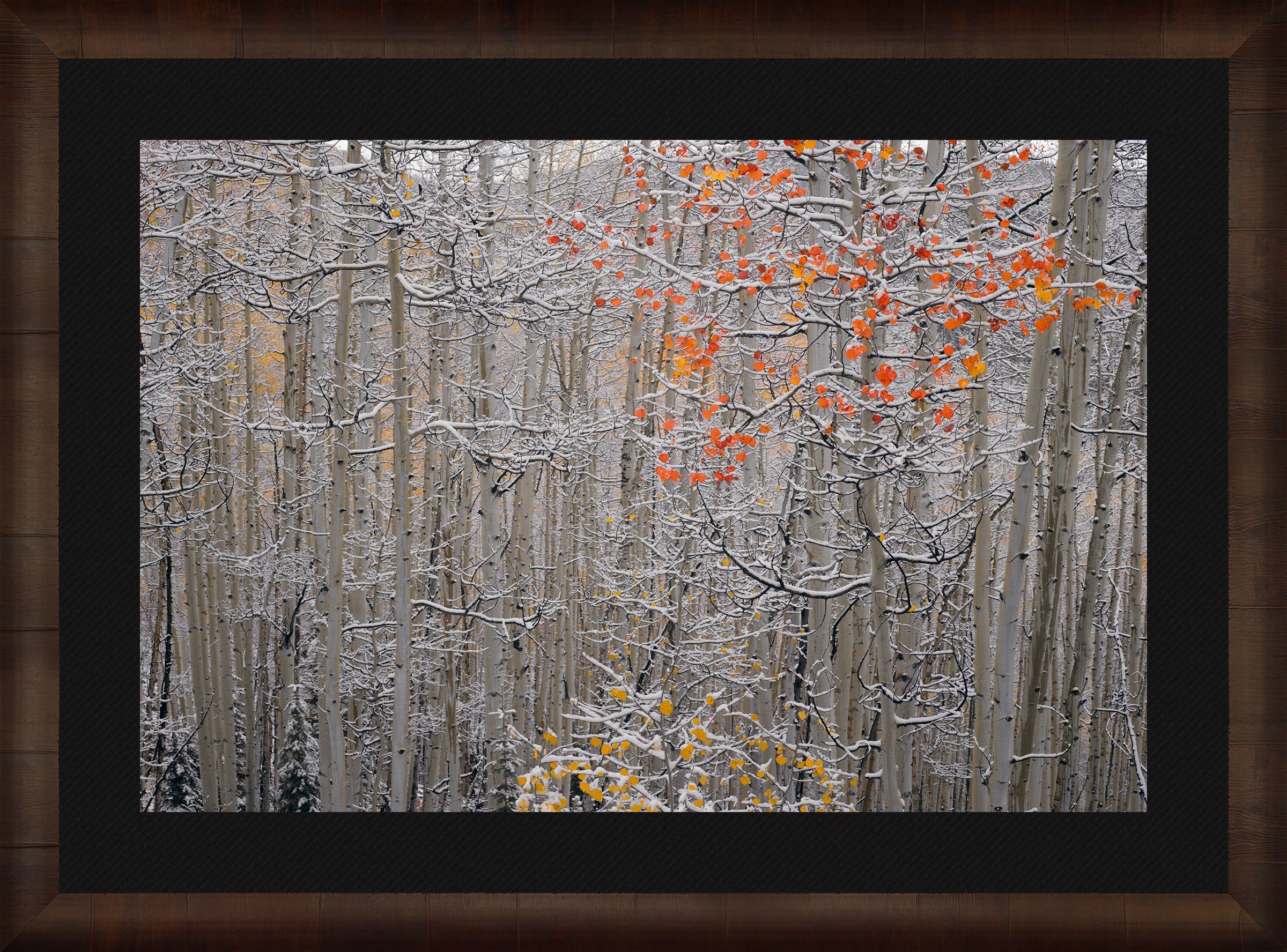 Winters Flame