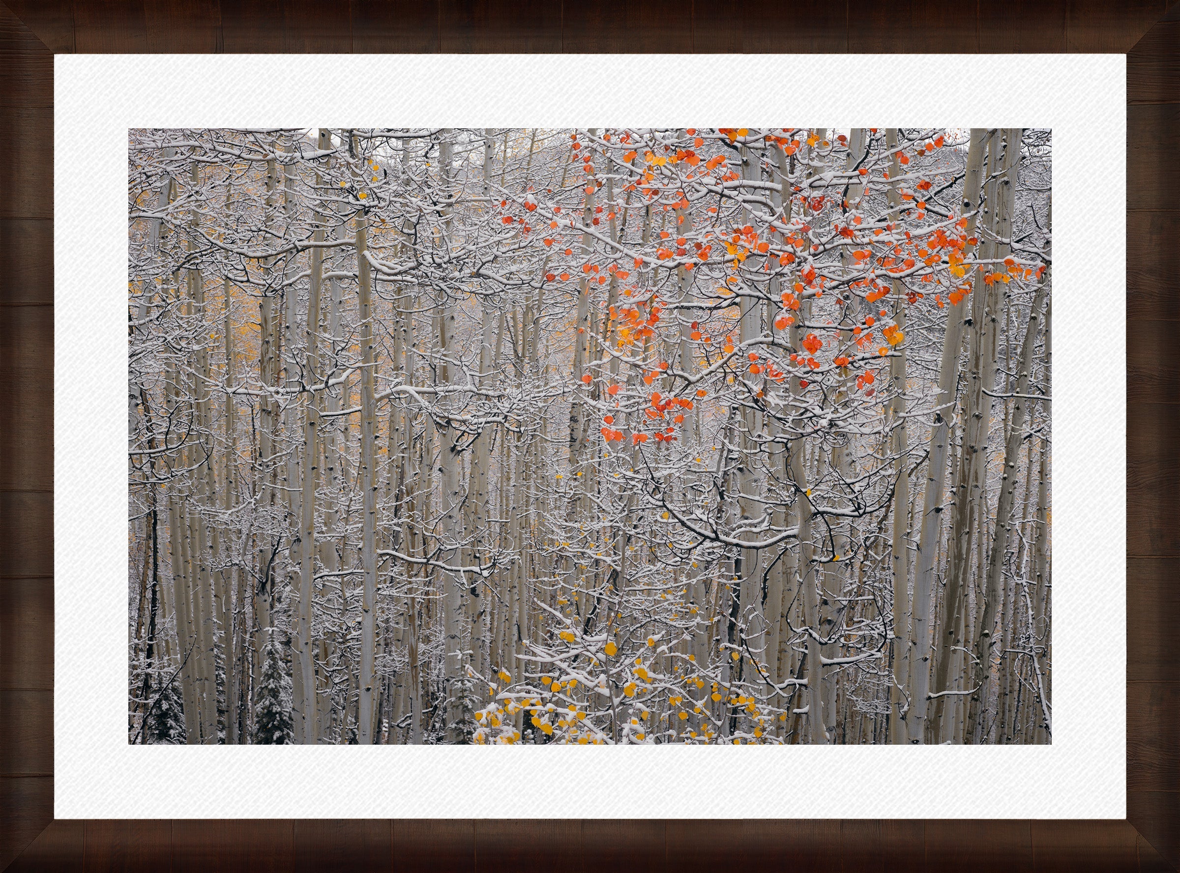 Winters Flame