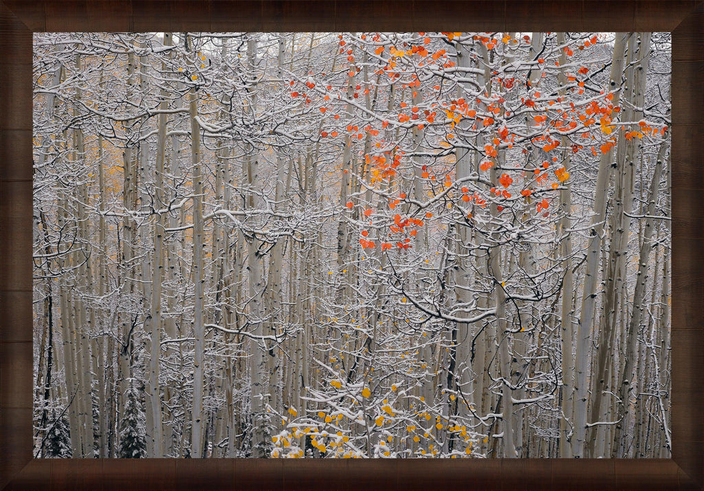 Winters Flame